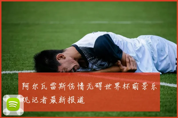 阿尔瓦雷斯伤情无碍世界杯前景乐观记者最新报道