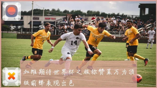 加维期待世界杯之旅称赞莱万为顶级前锋表现出色