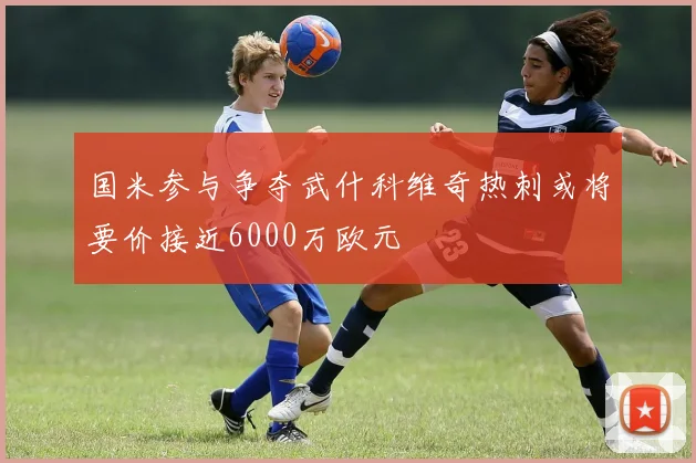 国米参与争夺武什科维奇热刺或将要价接近6000万欧元
